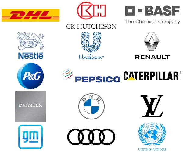 Companies where our alumni work